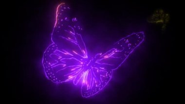 Karanlıkta ışık ve neon tarafından oluşturulan kelebek