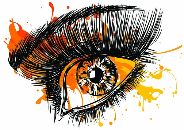 Vector ilustración hermosa mujer ojos con maquillaje — Vector de stock