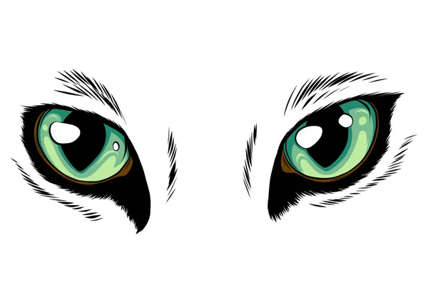 Ojos amarillos de gato aislados sobre fondo blanco. Ilustración vectorial — Vector de stock