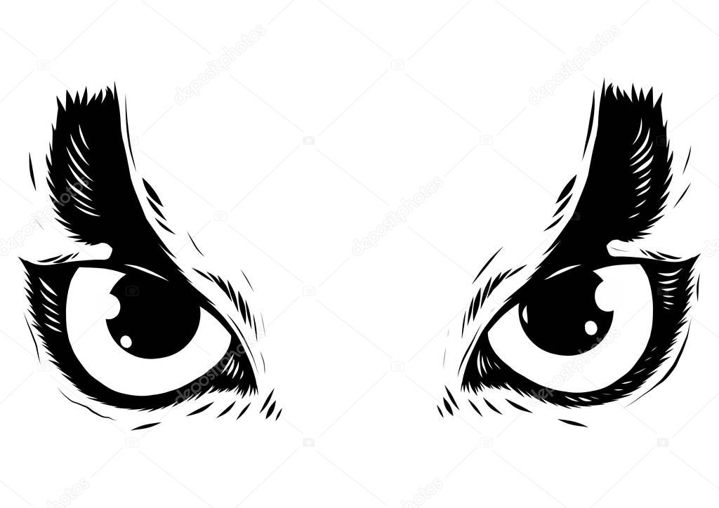 drawing of the eyes owl on white background