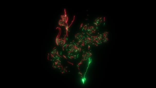 Bos Rozen Verlicht Met Lasers — Stockvideo