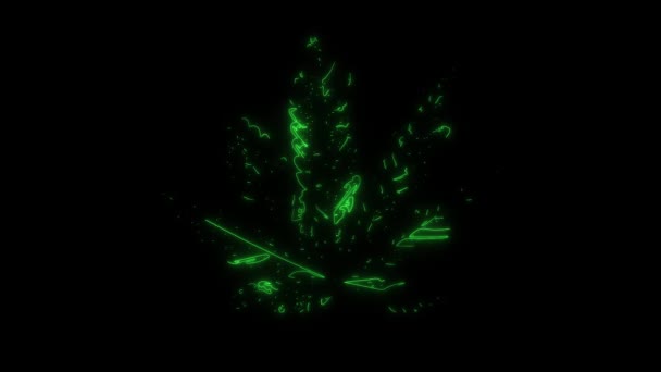 Liść Marihuany Która Świeci Laserami — Wideo stockowe