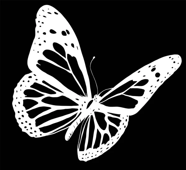 Illustration eines schönen bunten Schmetterlings, der fliegt — Stockvektor
