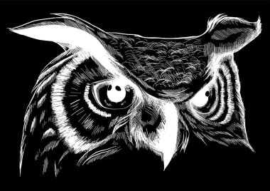 Baykuş - vektör illüstrasyon. Siyah arka planda simge tasarımı.