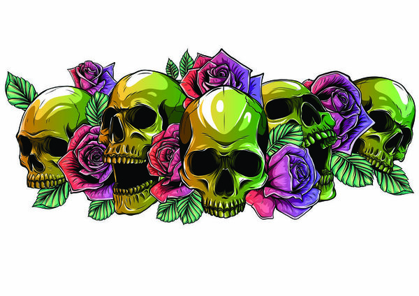 Человеческие черепа с розами на белом фоне
