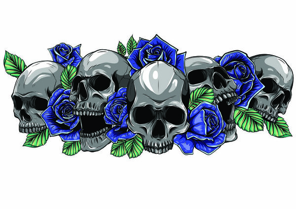 Человеческие черепа с розами на белом фоне
