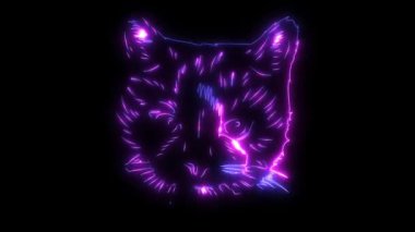 stilize kedi yavruları yüz animasyon videosu