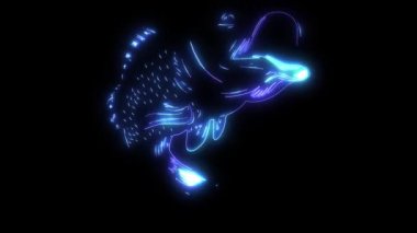 bass balığı lazer animasyon videosu