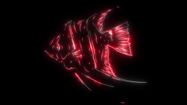 화려 한 열 대 스칼라 피시 영상 애니메이션 — 비디오