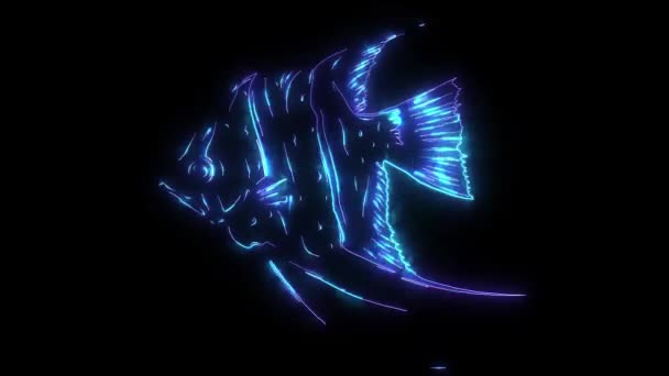 Красочная анимация тропических скалярных рыб — стоковое видео