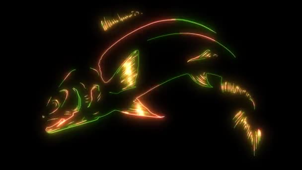Laxfisk video animation laser — Stockvideo