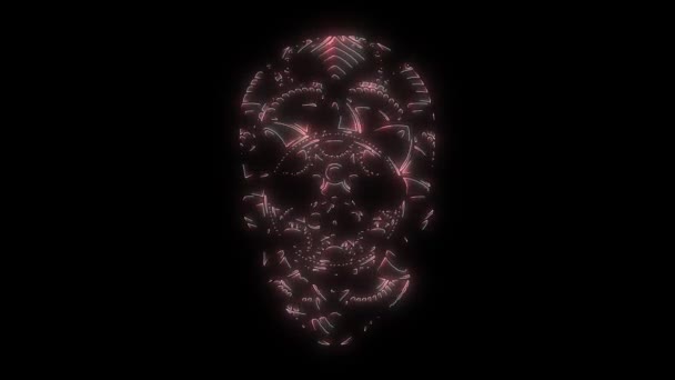Outline Human Skull Video Animation — Stock Video