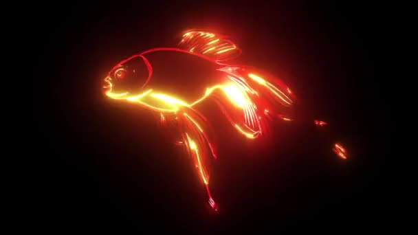 Fish Red Flat Video Animation Laser — Stock Video