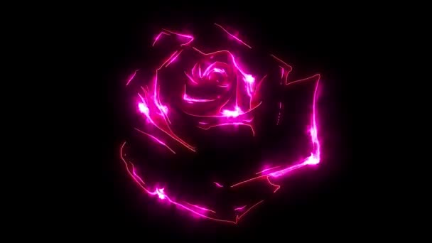 Rosso intenso, rosso rubino rosa fiore video animazione — Video Stock