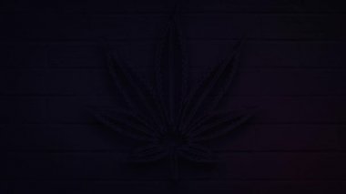 dekorasyon ve duvar arkası için gerçekçi neon marihuana yaprağı.