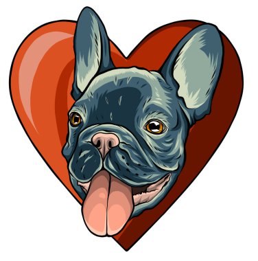 Beyaz arka plandaki şirin köpek yavrusu oynamak istiyor.