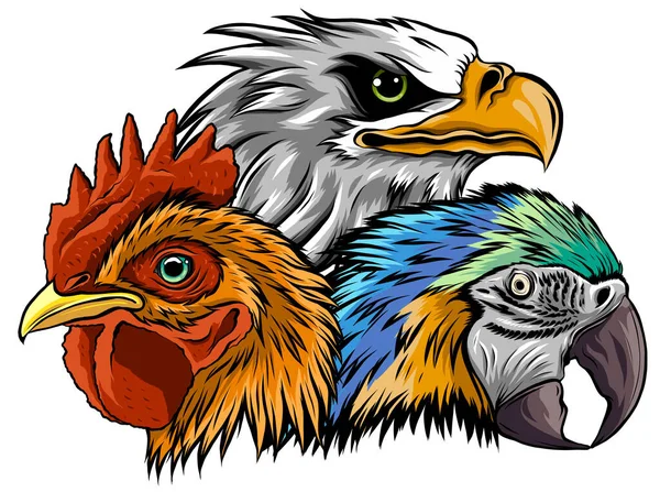 Illustration du modèle vectoriel de conception de logo de mascotte d'aigle — Image vectorielle