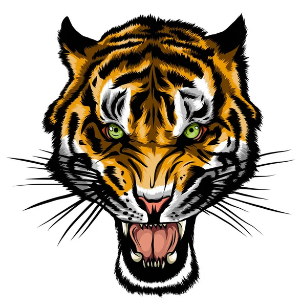 Raiva de tigre. Ilustração vetorial de uma cabeça de tigre. —  Vetores de Stock