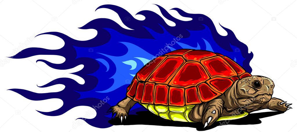 vector Illustration of Sulcata land tortoise design
