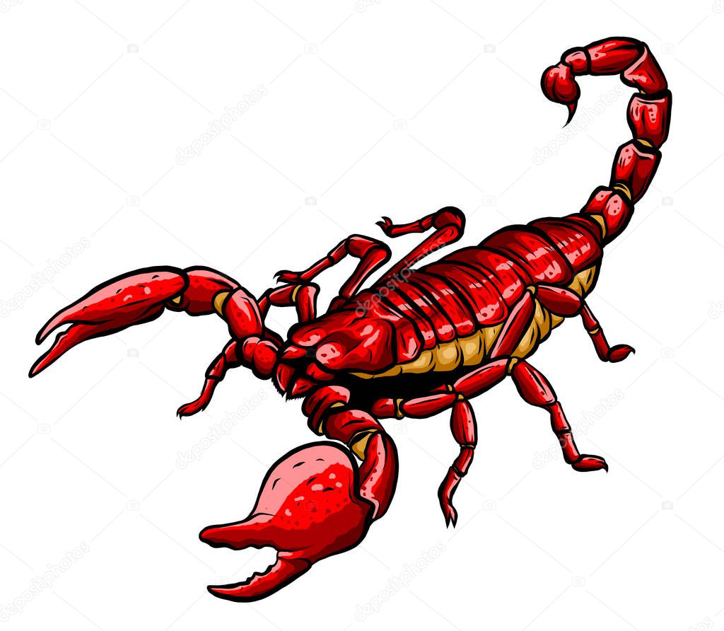 Mascot icon illustration of a scorpion, a predatory arachnid of the order Scorpiones