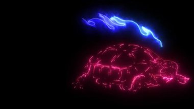 Ateş dijital neon video animasyonlu kaplumbağa