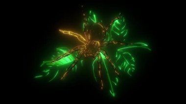 Yağmur ormanlarındaki bir dijital neon videoda örümcek ağı