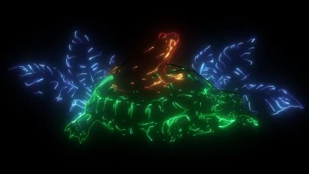 Béka és teknős digitális neon videó — Stock videók