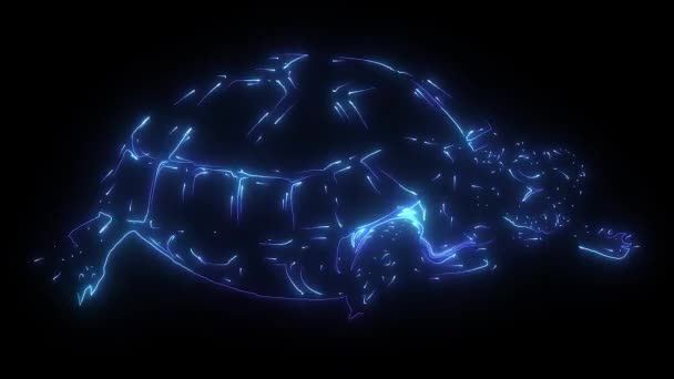 Schildkröte digitale Neon-Videoanimation — Stockvideo