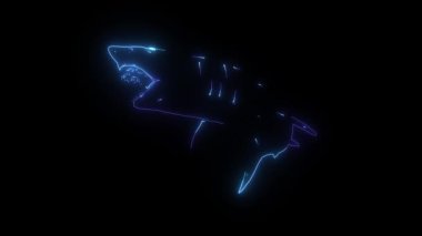 beyaz köpekbalığı dijital neon video
