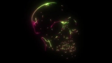 İnsan Kafatası video grafik sanatı