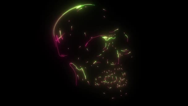 Human Skull video graphics art — Stock Video