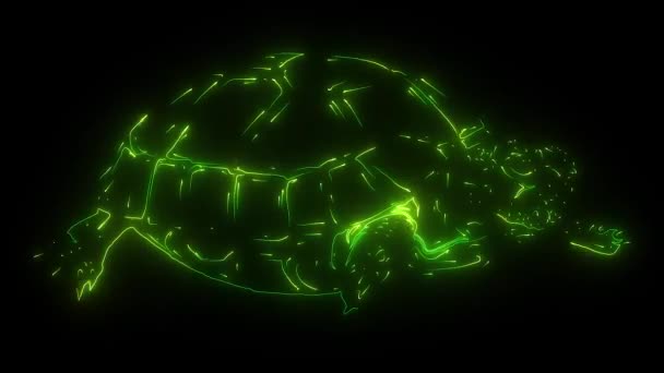 Ikona żółwia. Filmik z kreskówki z ikoną żółwia do sieci — Wideo stockowe