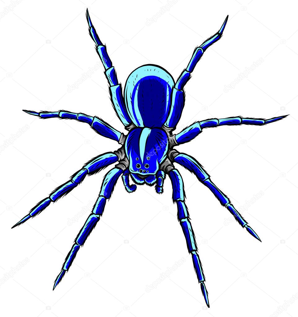 spider steed crossbow scary vector illustration art