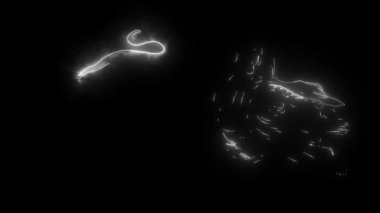 Dinozor stegosaurus baş dijital neon video