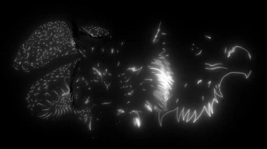 Bu bir kartal vaşak yılanı kafası maskot dijital neon video.