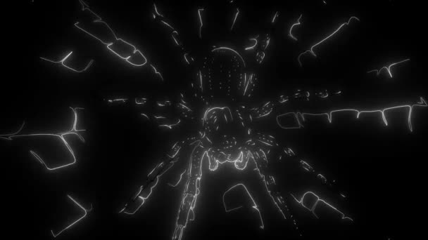 Spider and torn web. digital neon video — Stock Video