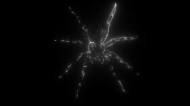 Şirin örümcek çizgi filmi dijital neon video