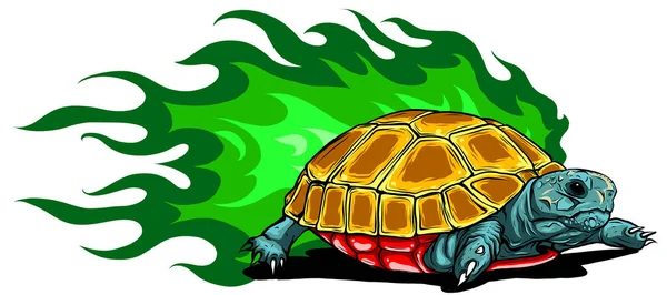 Illustration von Vektorschildkröten mit grünen Flammen — Stockvektor