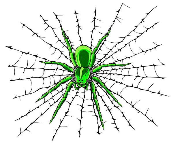 Ilustración vectorial araña colgante en hilo de tela — Archivo Imágenes Vectoriales