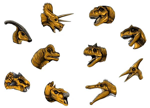 Colección de cabeza de dinosaurio, con lindo vector de colores — Vector de stock