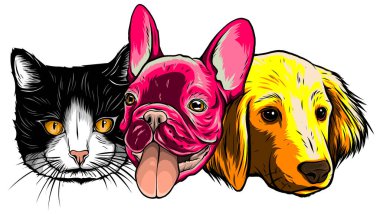 gülümseyen kedi ve köpek vektör çizimi grafikleri
