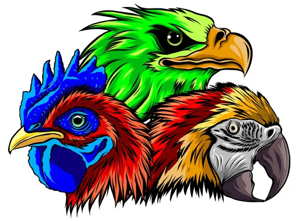Loro águila y gallo cabeza vector ilustración — Vector de stock