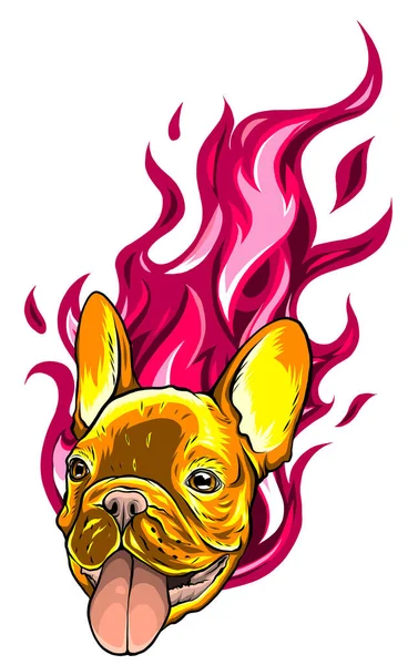 Carlino Kopf Dog Flame Tattoo Vektor Illustration — Stockvektor
