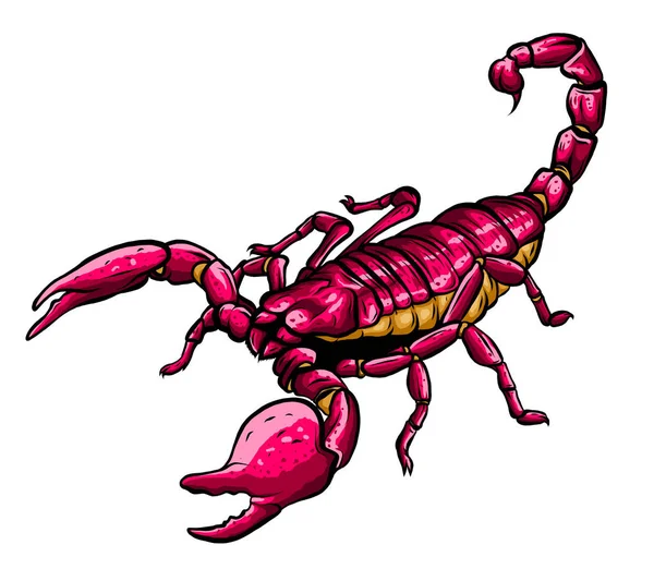 Illustration of scorpion arachnid insect. vector graphics — Stock Vector