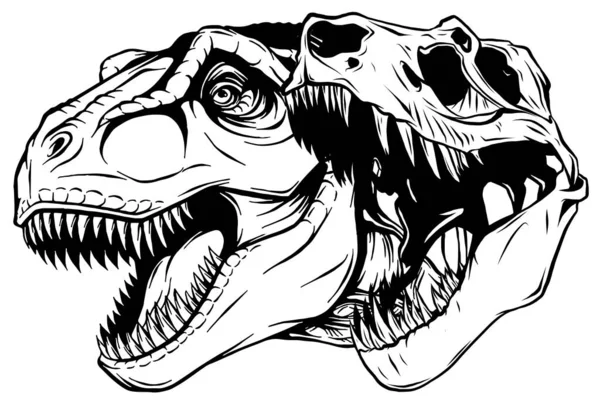 Desain ilustrasi fosil vektor tengkorak Tyrannosaurus rex - Stok Vektor