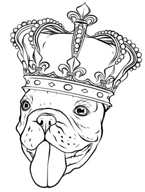 Beyaz arka planda tacı olan Pug Dog.