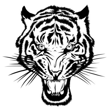 Bıyıklı Kaplan Başı 'nın Maskot Vektör ResmiName