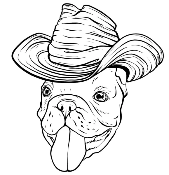 Bulldog, amico. Cappello sombrero messicano. Ritratto di simpatico animale. — Vettoriale Stock