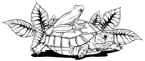 Tekenfilm schildpad en kikker vector illustratie kunst — Stockvector