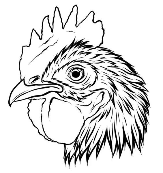 Tête de coq, illustration vectorielle réaliste arts graphiques — Image vectorielle